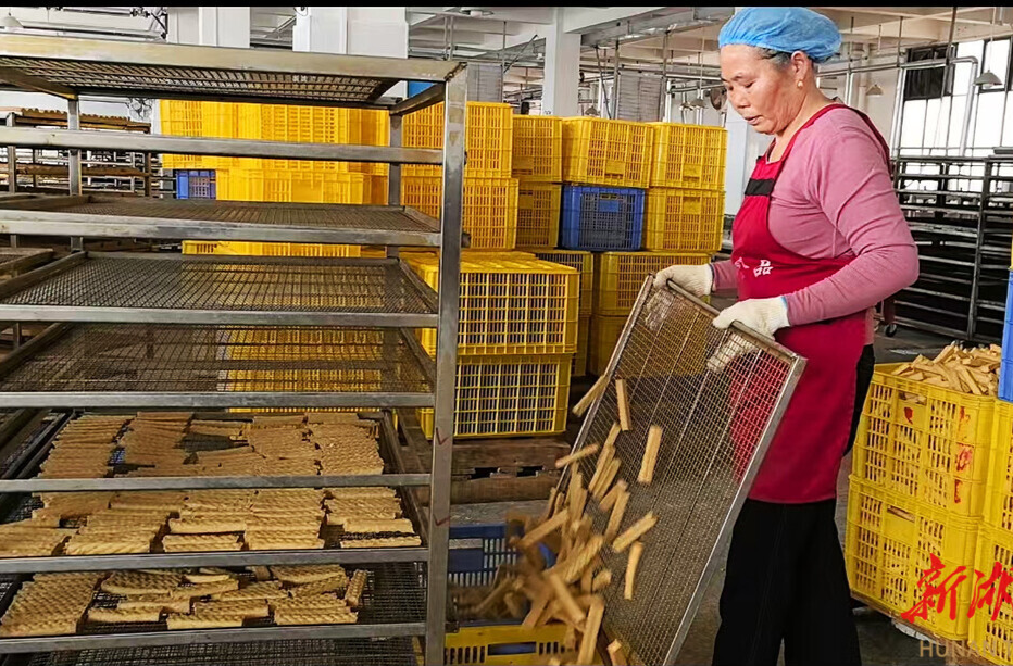 一锅卤水流金淌银，富了群众强了县域 千年武冈 “卤”味长香 | 湖南日报