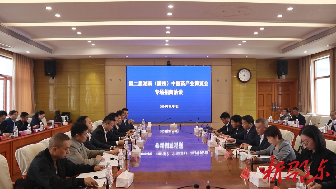 李国军主持召开第二届湖南（廉桥）中医药产业博览会专场招商洽谈会