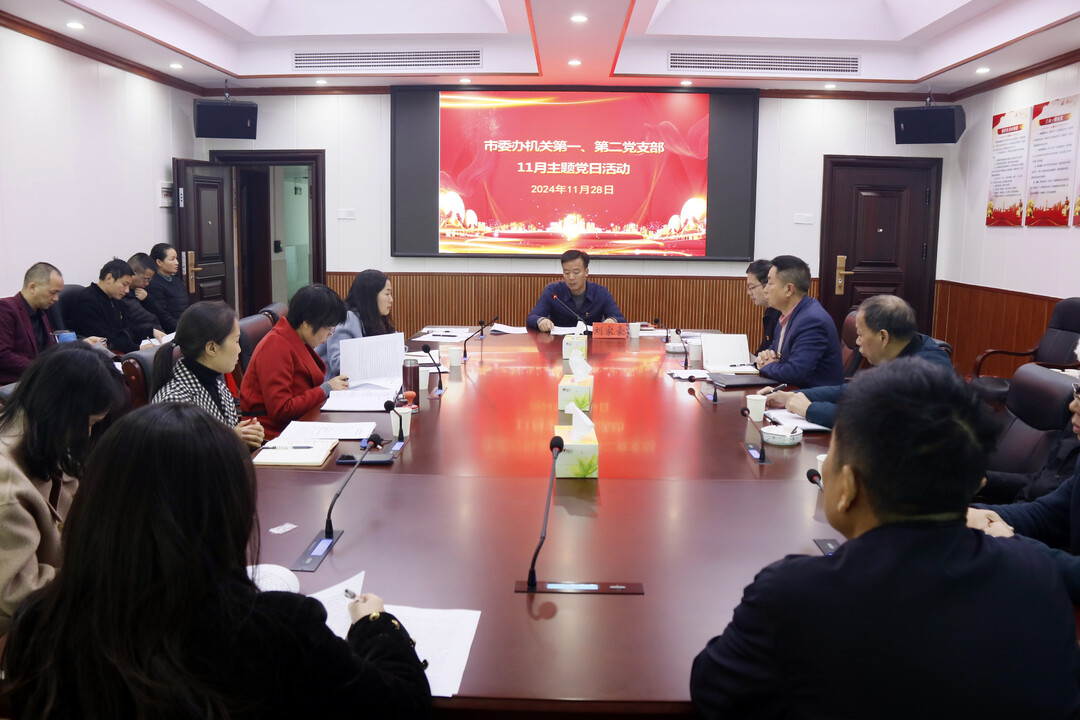 刘家豪为邵东市委办机关党支部党员上党课