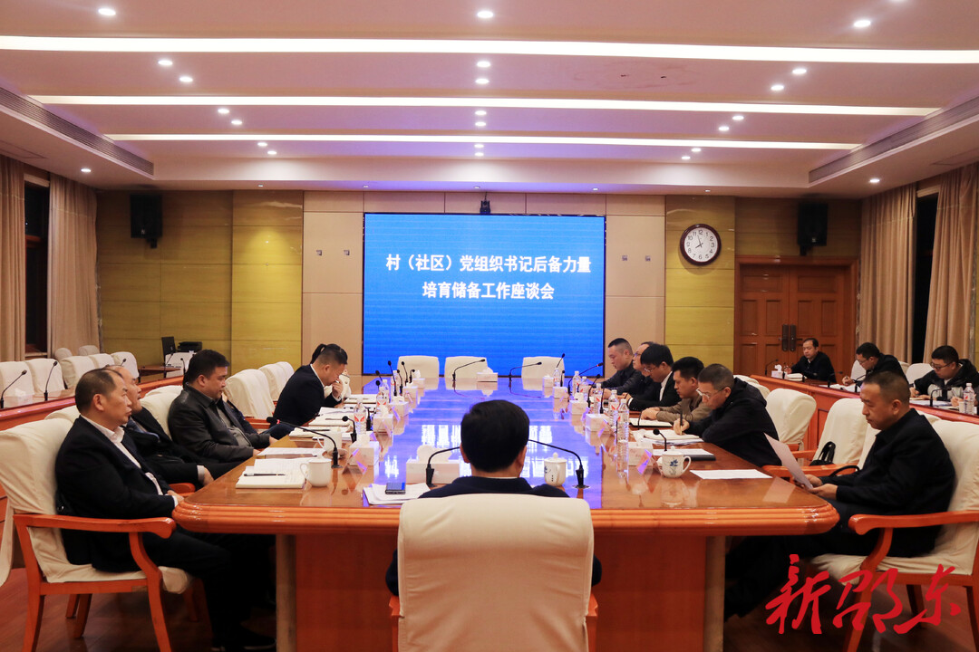 邵东市基层党建重点工作暨村（社区）党组织书记后备力量培育储备工作座谈会召开