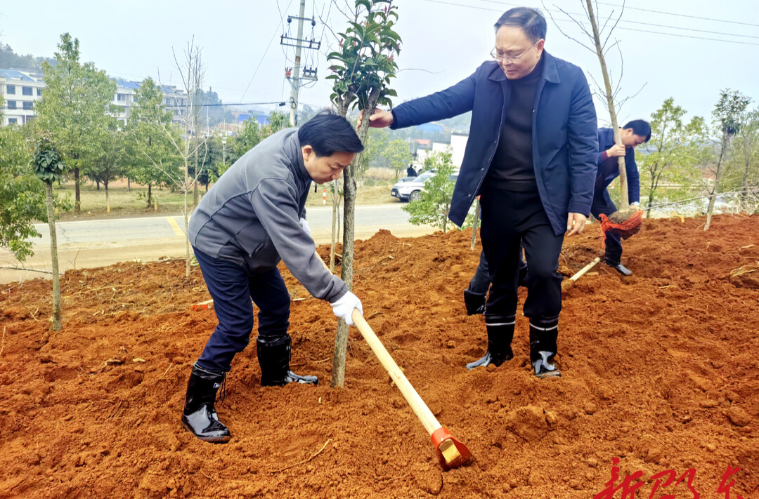 李国军带头参加义务植树活动 共筑绿色邵东