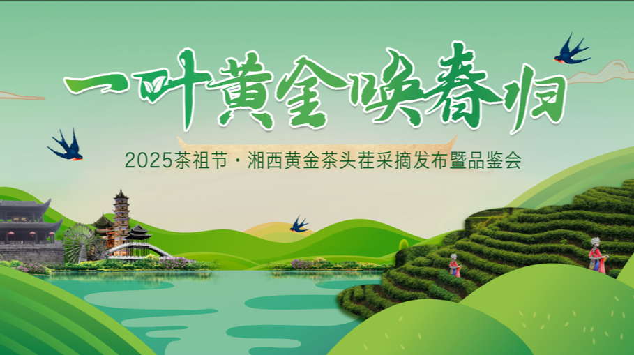 直播 | 一叶黄金唤春归 2025茶祖节·湘西黄金茶头茬采摘发布暨品鉴会
