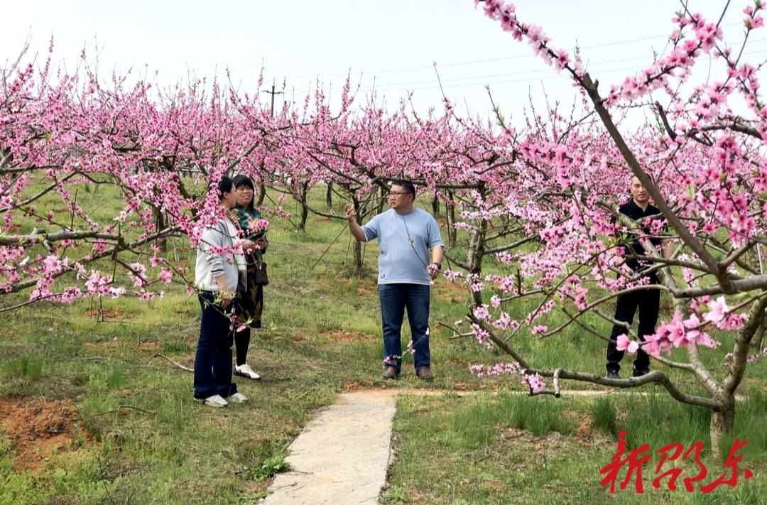 邵东市政协委员助力乡村旅游发展