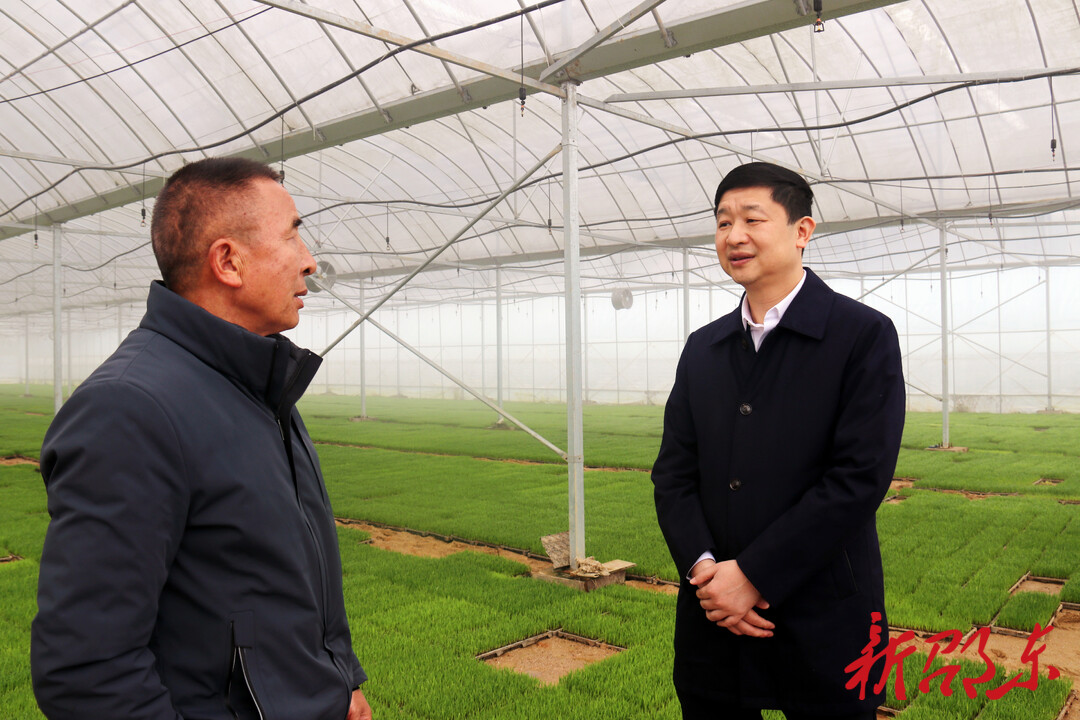 付凯军调研春耕生产、防汛安全及禁毒等工作