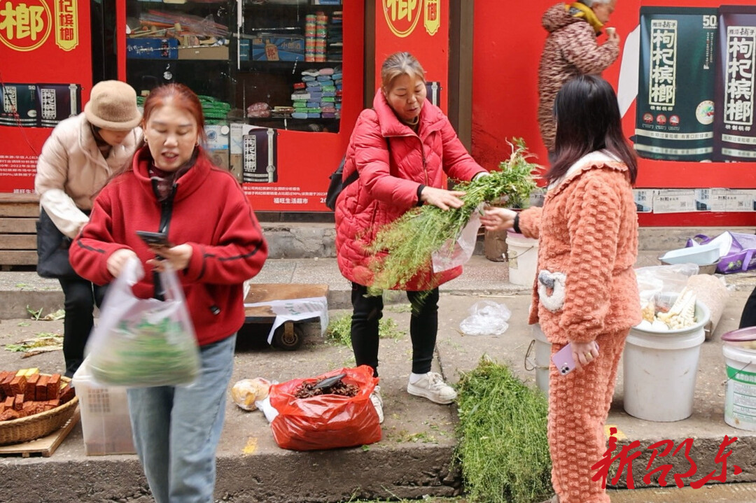 农历三月三 荠菜煮鸡蛋