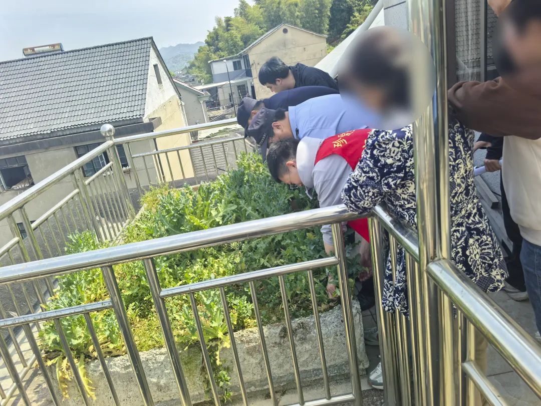 “治牙疼”“炒菜吃”……切记：这种植物一株也不能种！