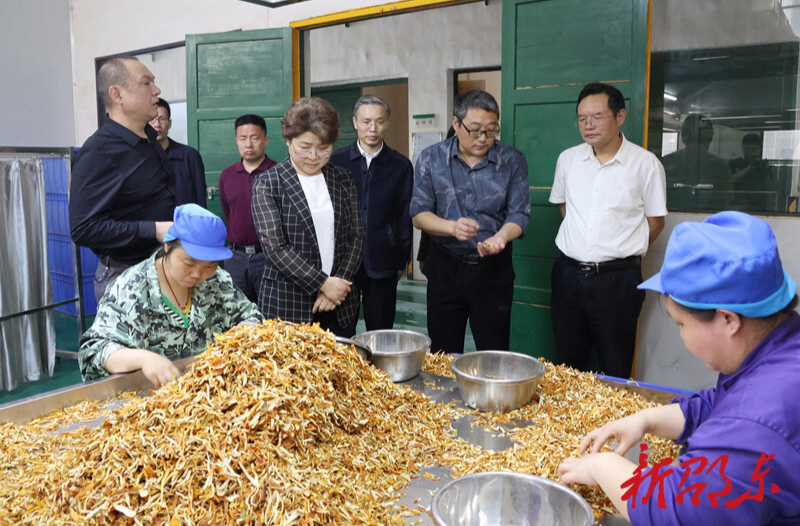 周迎春来邵东市调研人大工作及中医药产业发展情况