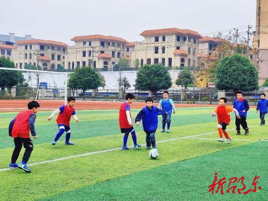 AI 赋能！邵东市昭阳小学“大体育”让学生“撒欢儿”动起来