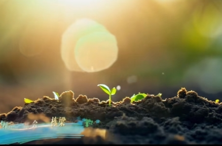 当守护化作音符，这首歌曲唱响“护苗”新篇章