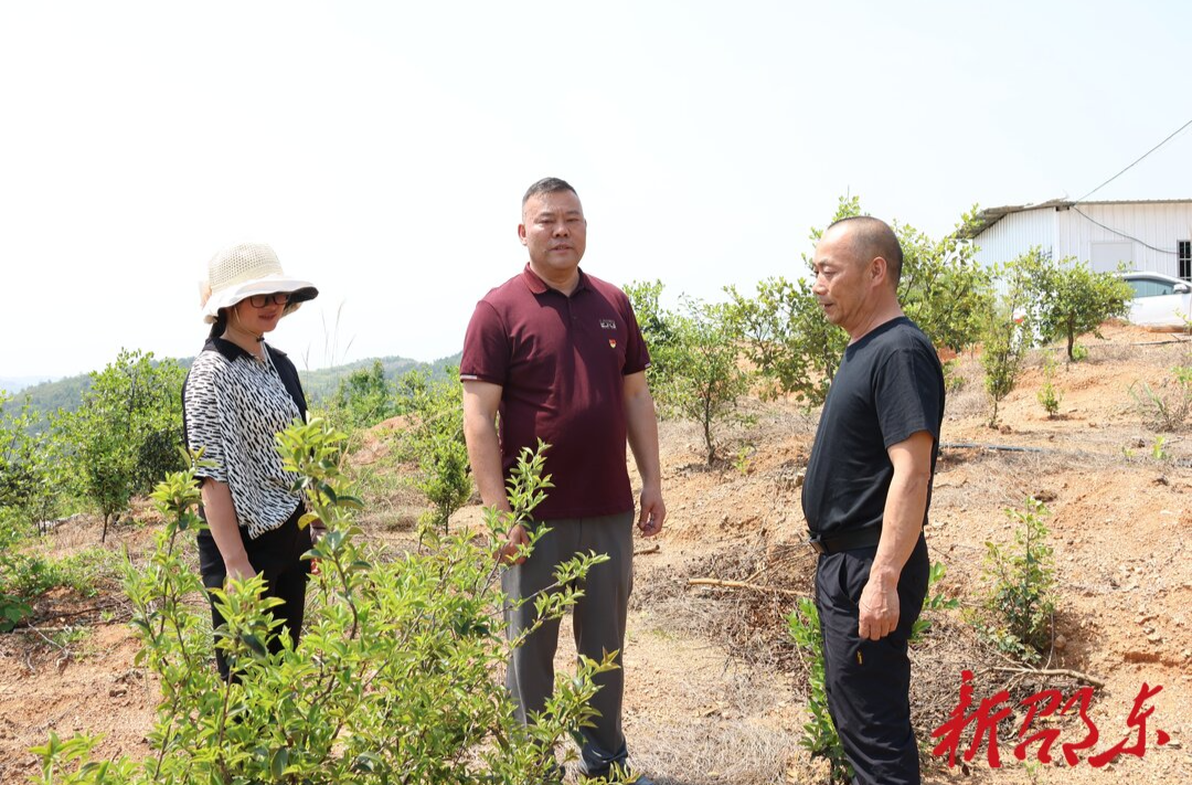劳模风采| 徐安清：一心为民践初心 实干担当铸忠诚