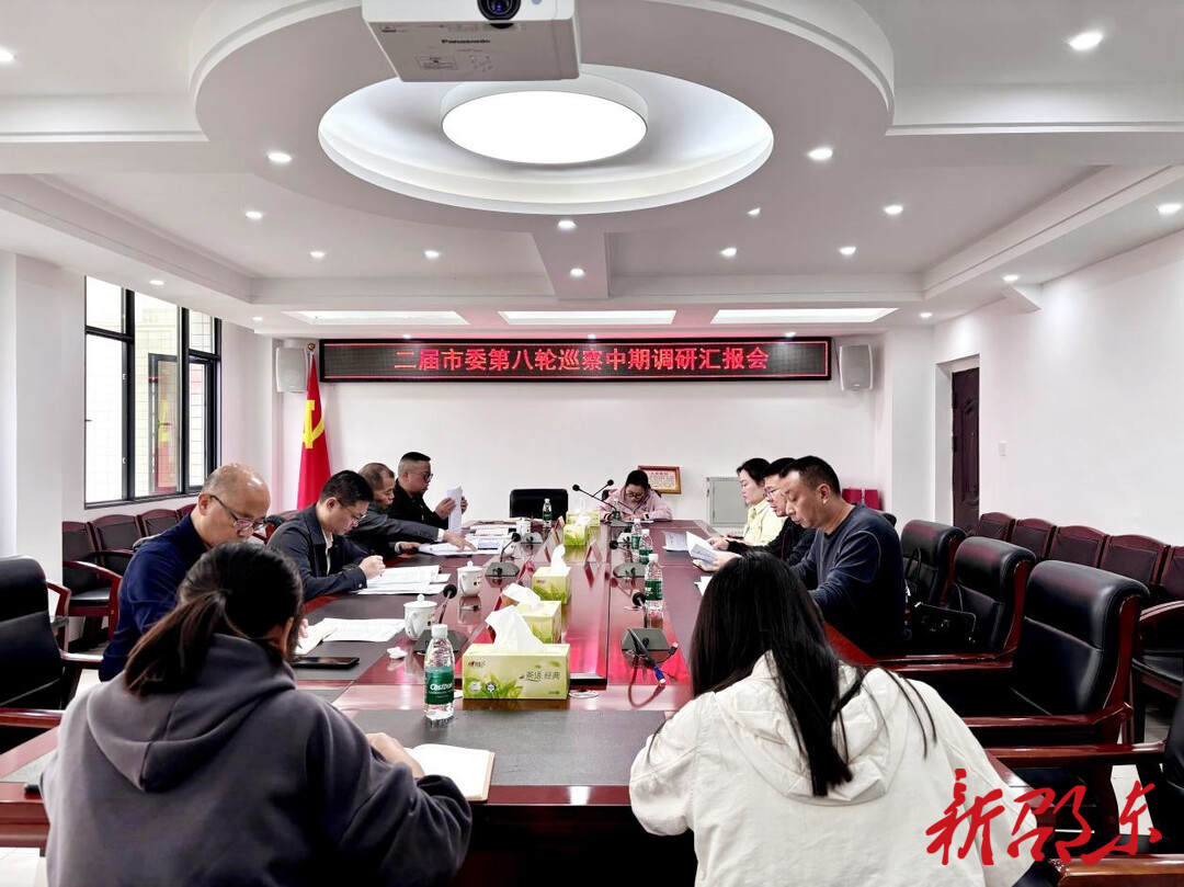 邵东市委巡察工作领导小组开展巡察中期调研