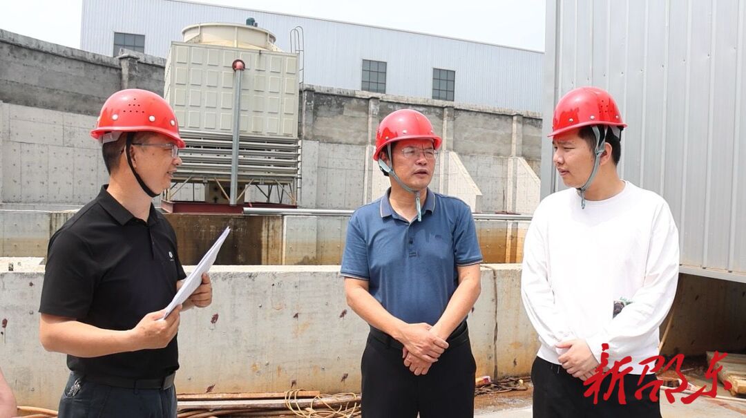 黄负平带队到仙槎桥镇调研