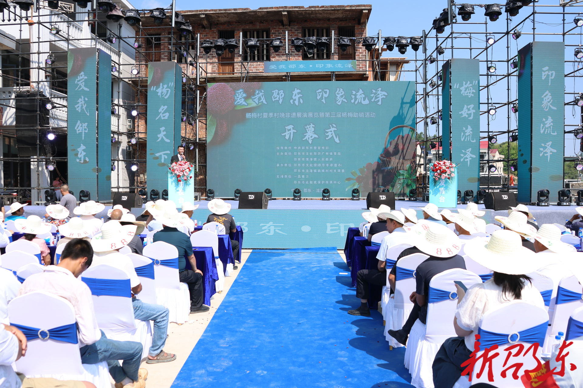 万亩杨梅喜丰收  邵东市流泽镇第三届杨梅助销活动开幕