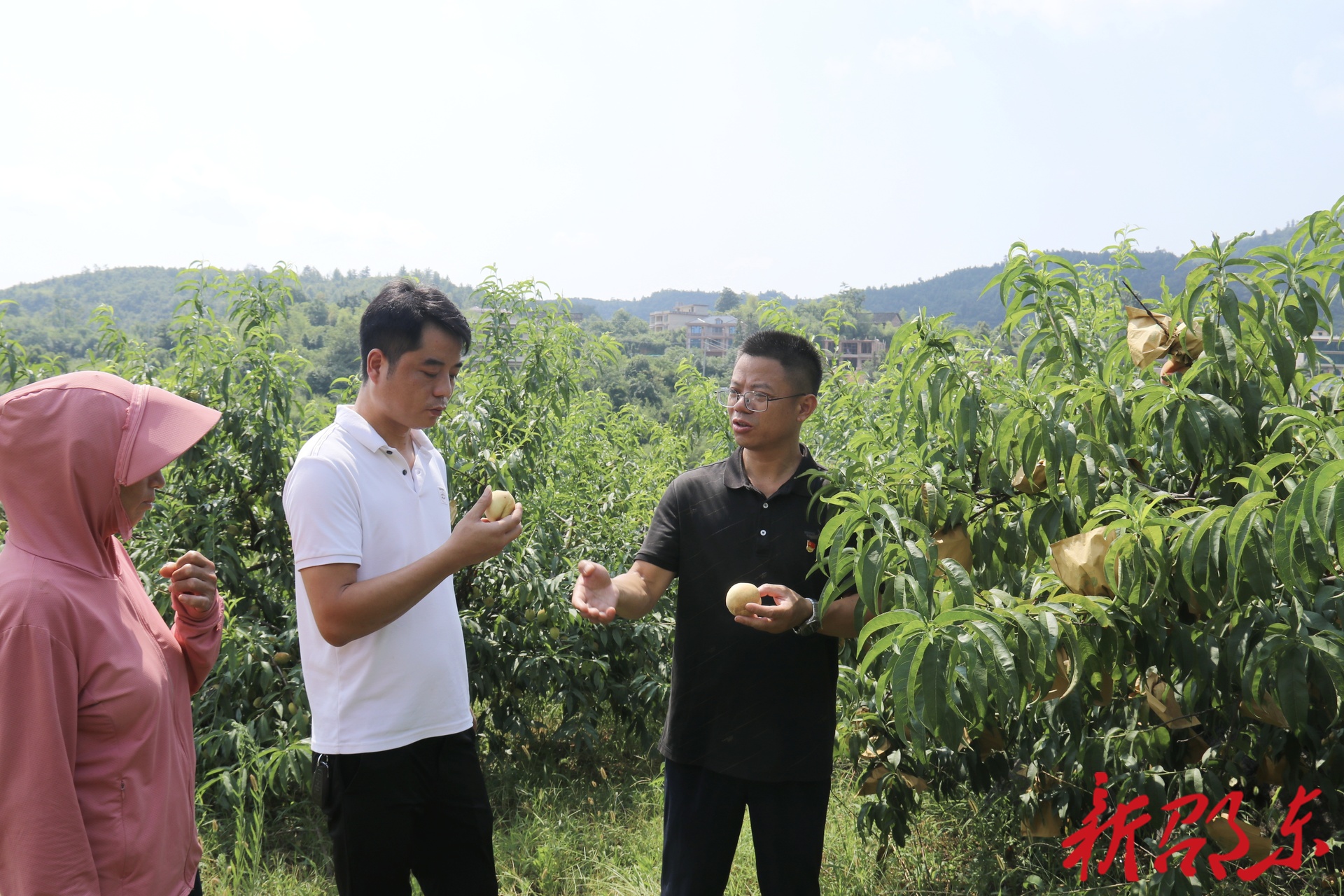 七一特辑| 范小平：用脚步丈量民情 以实干凝聚民心