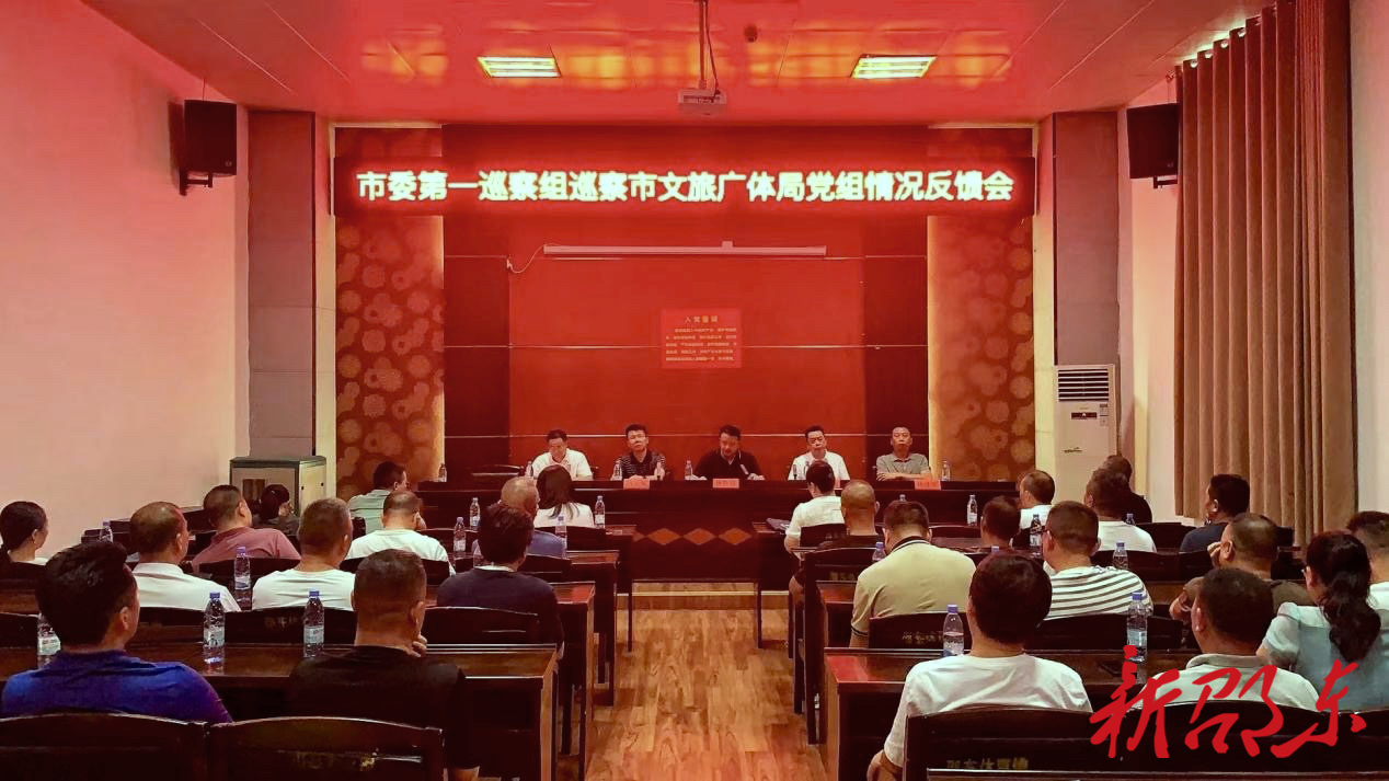 邵东市委第一巡察组向市文旅广体局党组反馈巡察情况