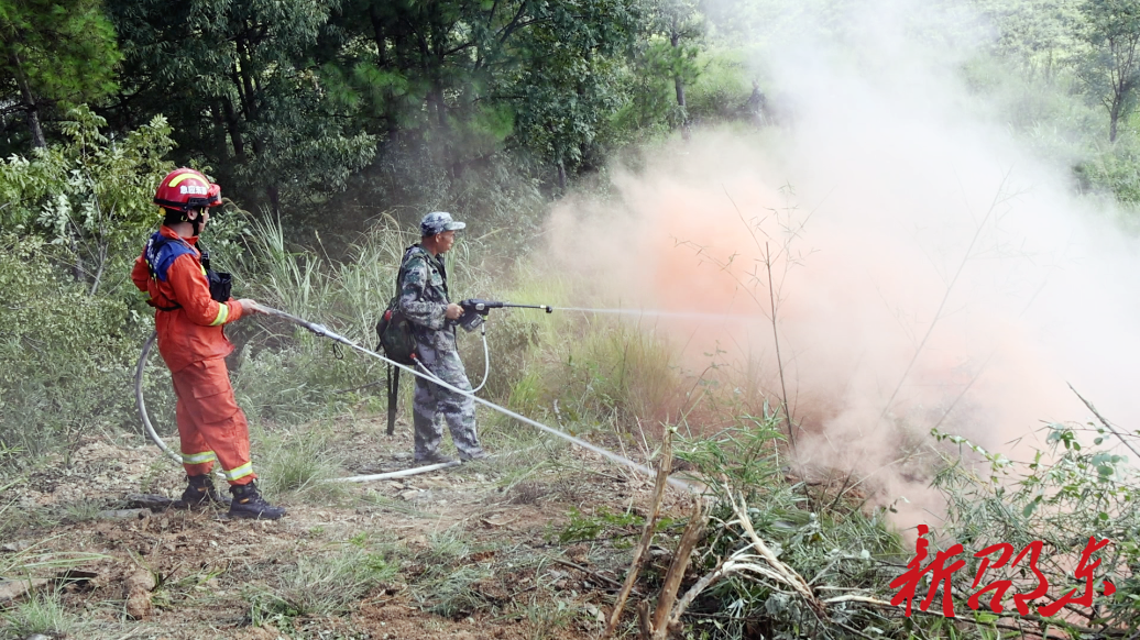 邵东市举行2025年森林防灭火综合应急演练