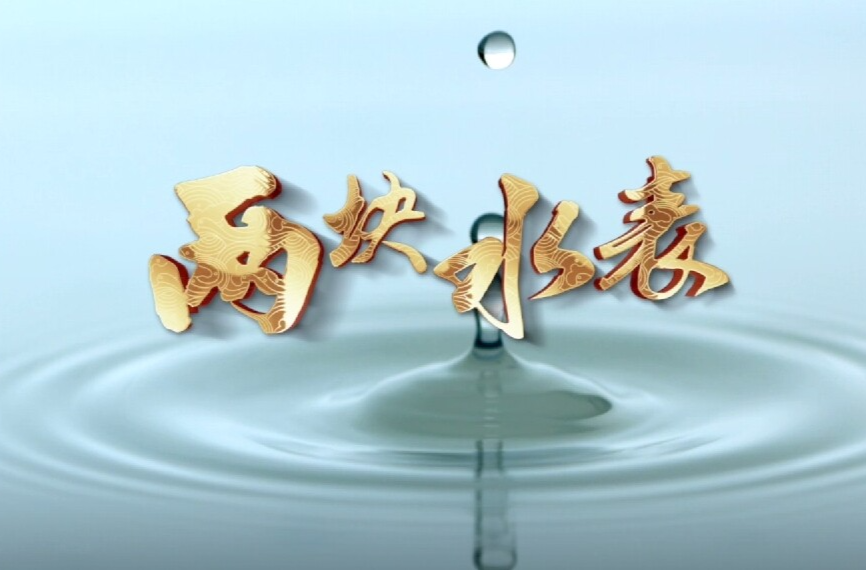 “爱我邵东 廉润昭阳”微短剧展播 |《两块水表》