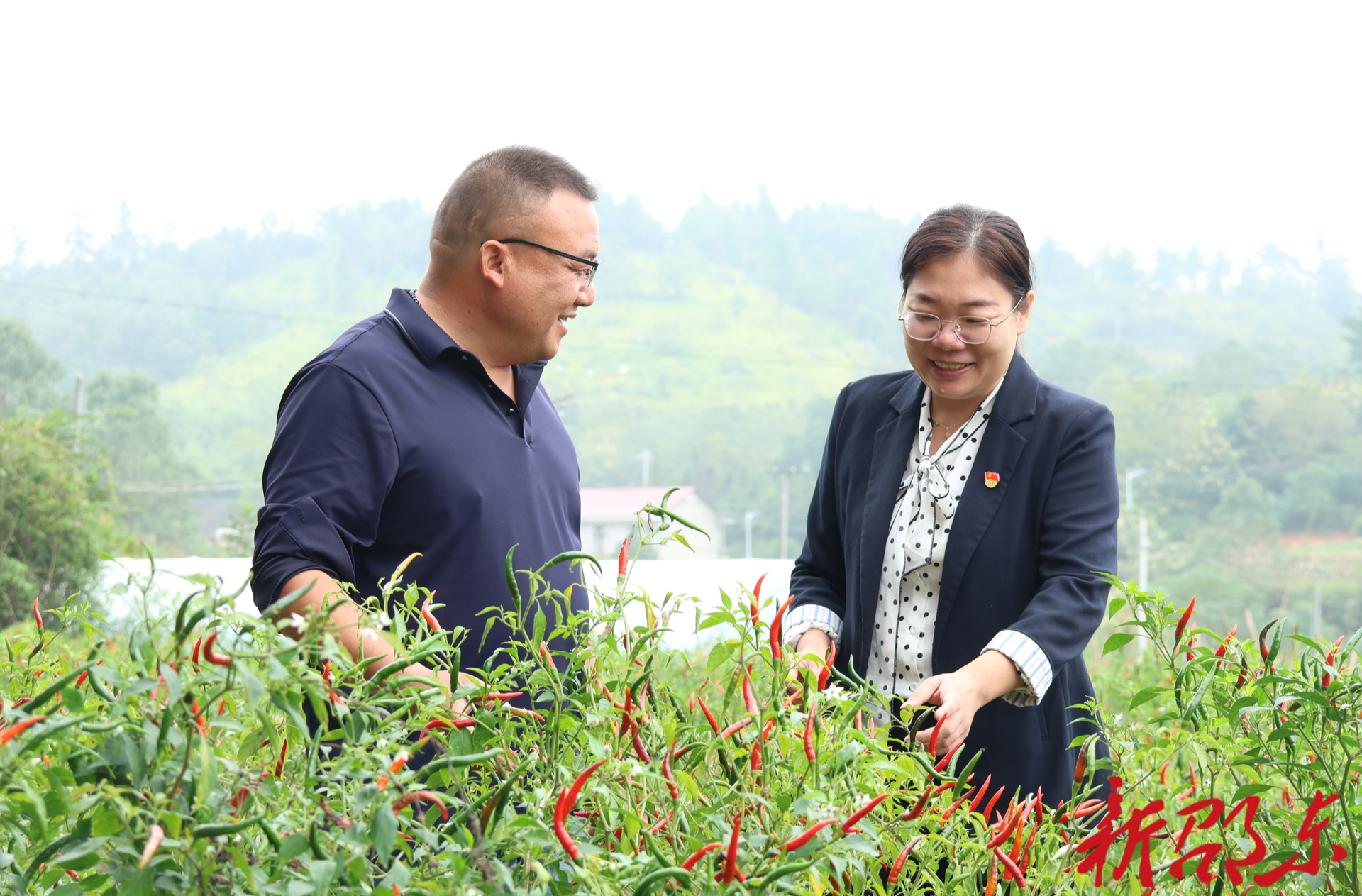 担当作为 | 朱梅：在“家长里短”里倾听民声，从“柴米油盐”起解百姓愁盼