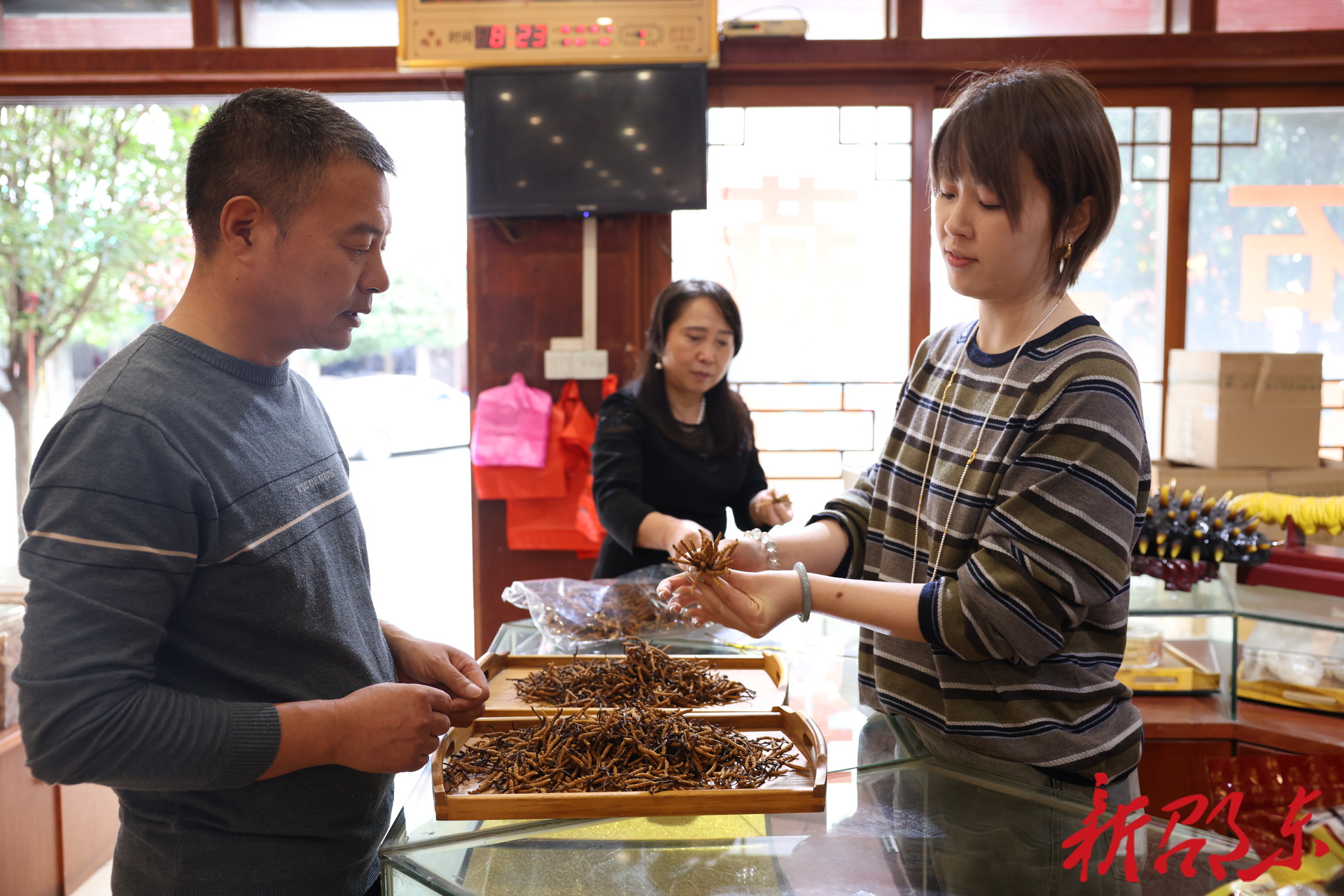 药香满廉桥：廉绥、喜怀满怀信心迎盛会