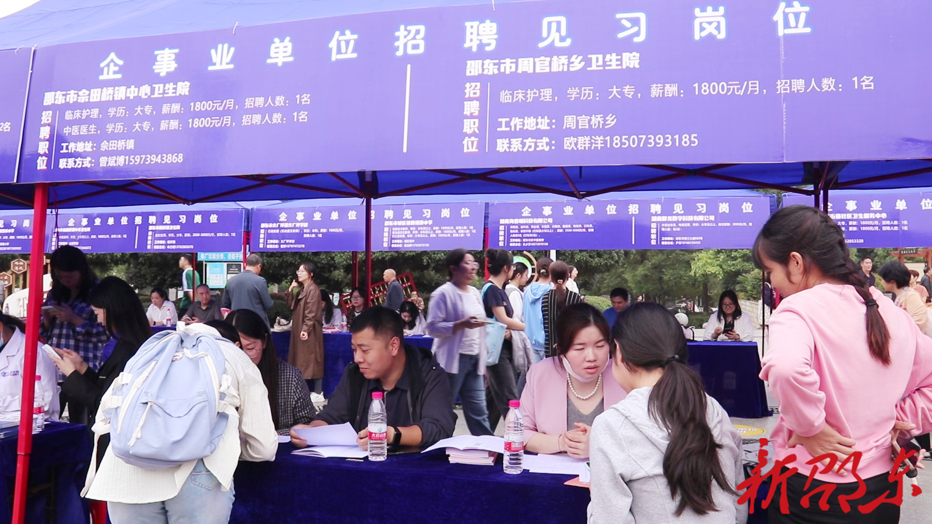 邵东市举行“青春飞扬 邵东启航”大学生专场招聘会