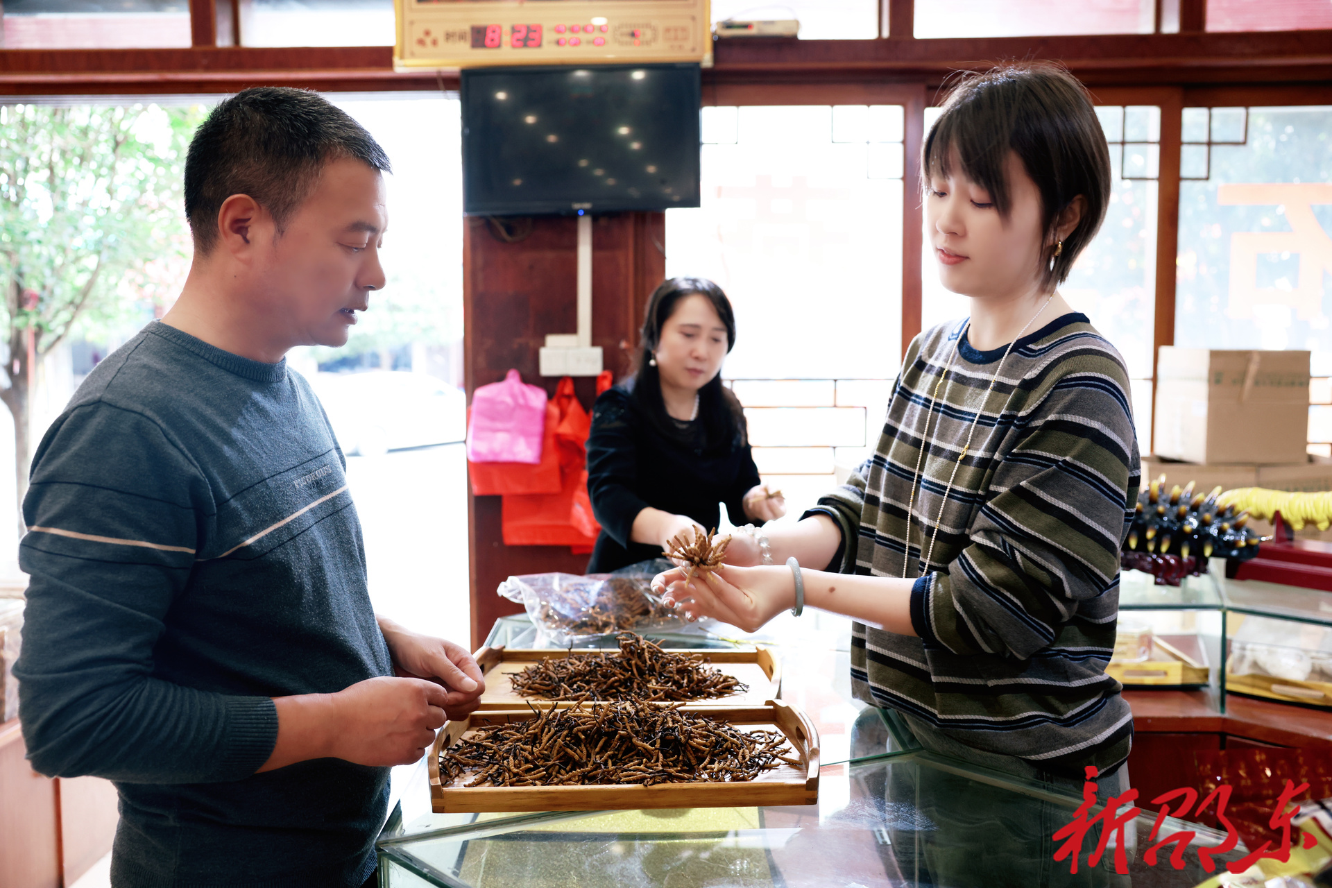 药香满廉桥：廉绥药业、喜怀茸行满怀信心迎盛会