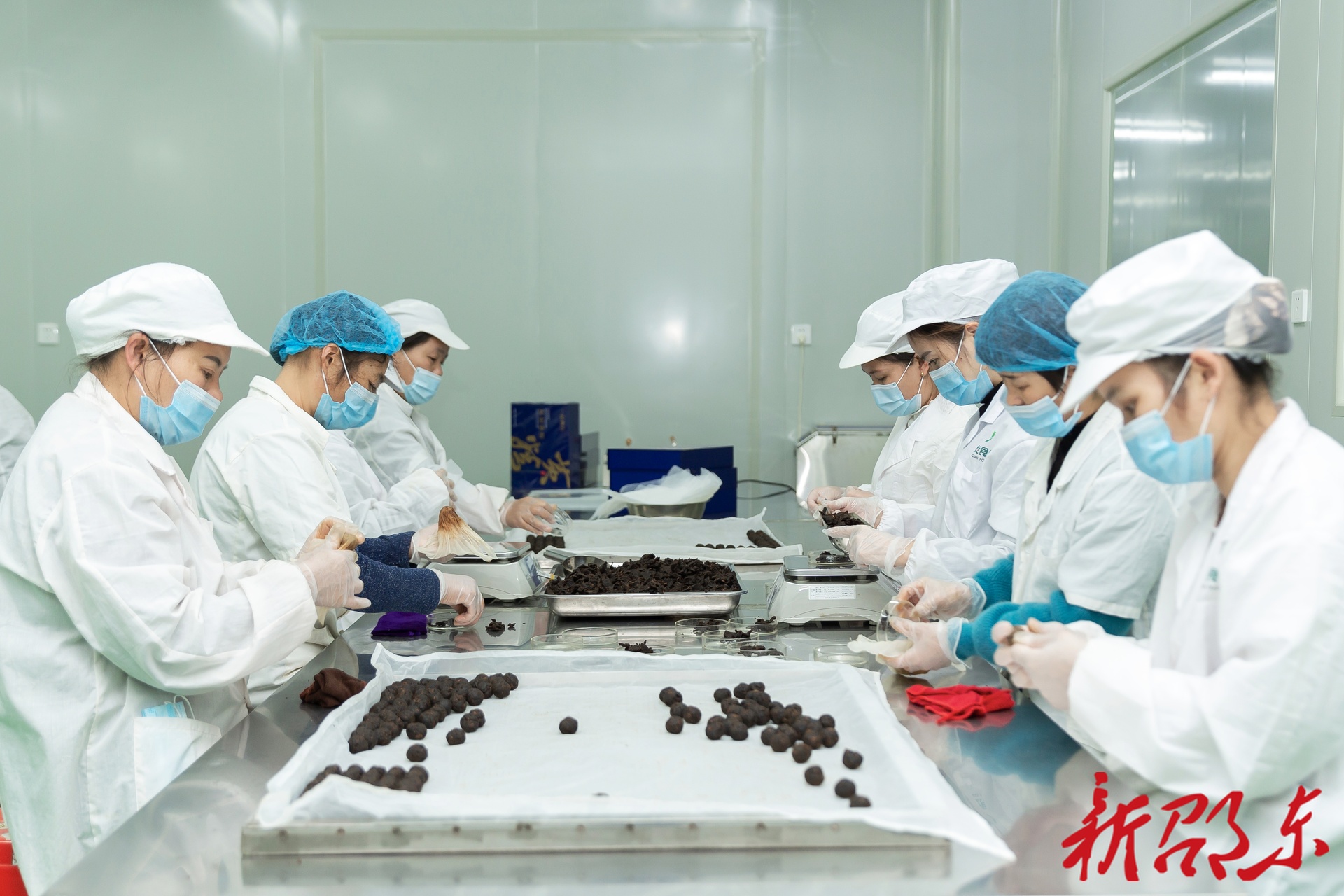 湖南坤乾食品有限公司：携创新膏方助力邵东玉竹走向世界