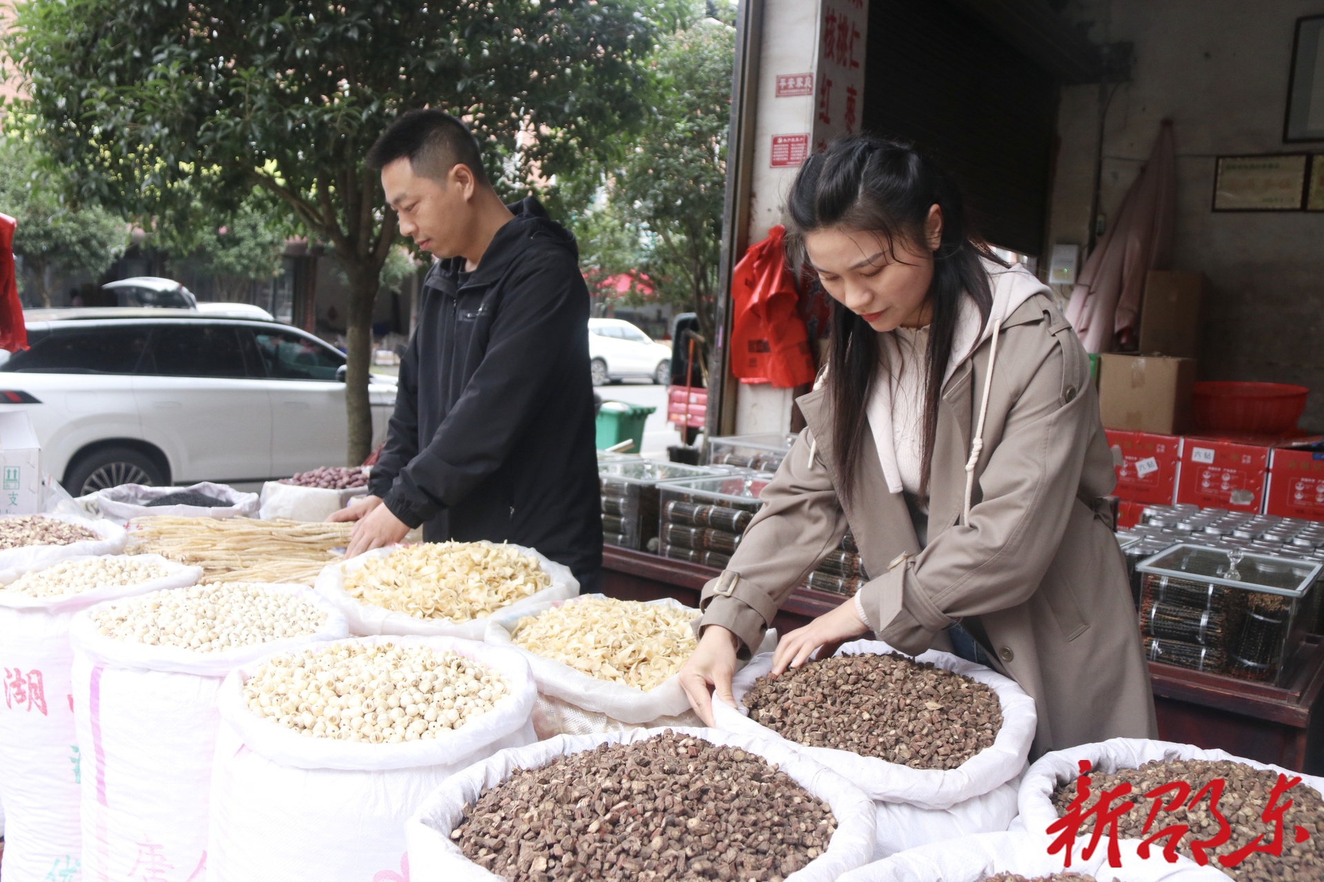 药香溢满“南国药都” 廉桥药商全力备战第三届中医药产业博览会