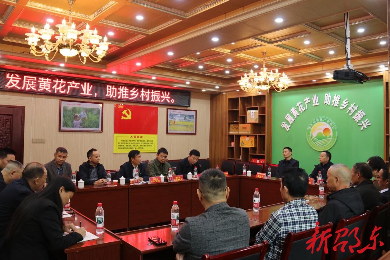 上海应用技术大学教授李法云来邵东市调研黄花菜产业