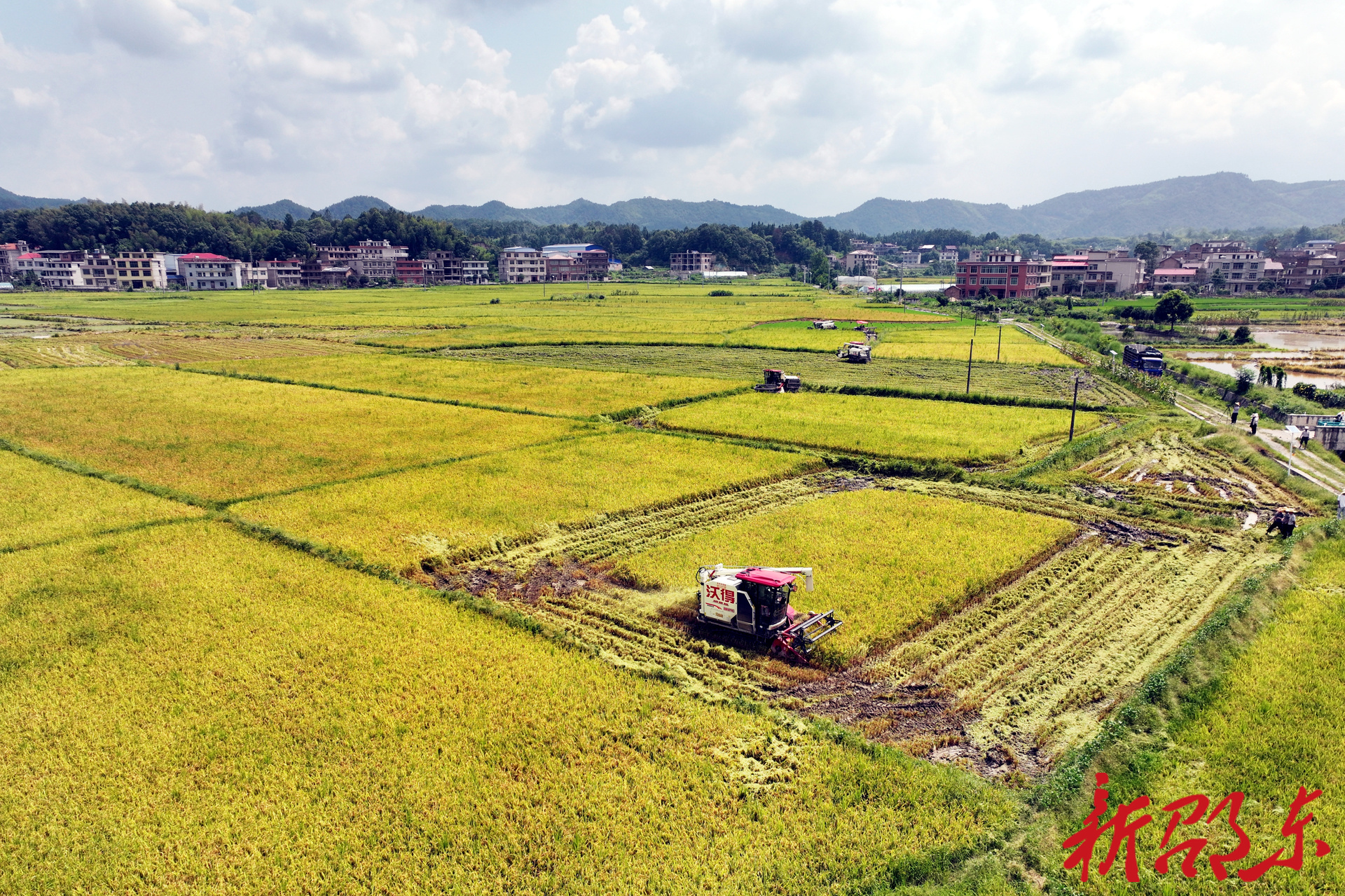 担当作为| 农家院成议事厅！邵东市灵官殿镇“青蓝结对” 齐绘“五彩中乡”