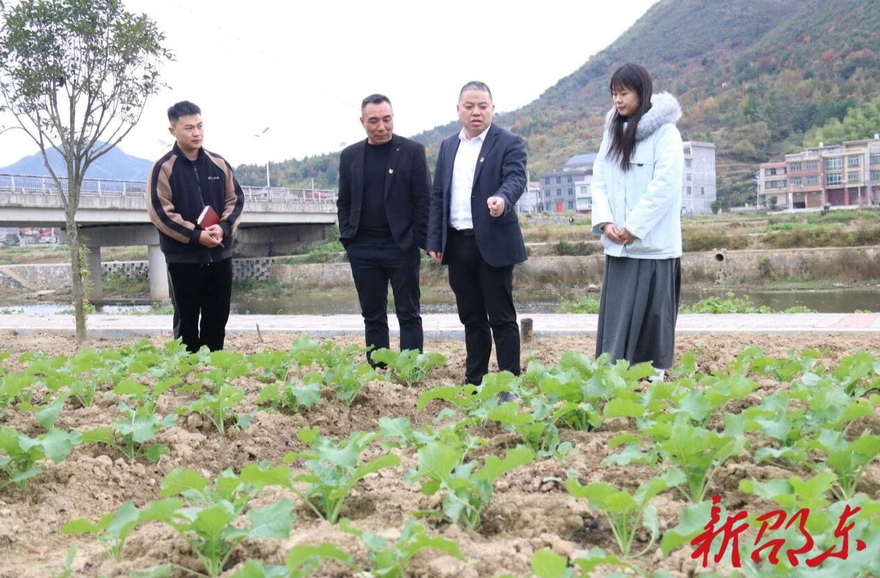 担当作为 | 邵东市水东江镇：实干破解民生难题 担当描绘振兴画卷