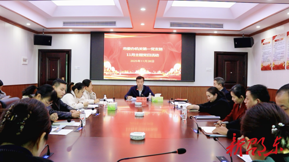 刘家豪为邵东市委办机关党支部党员上党课