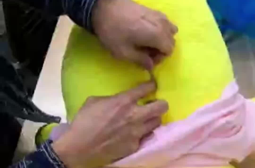 民警跨越1000多公里……只为拦截一只玩具熊？