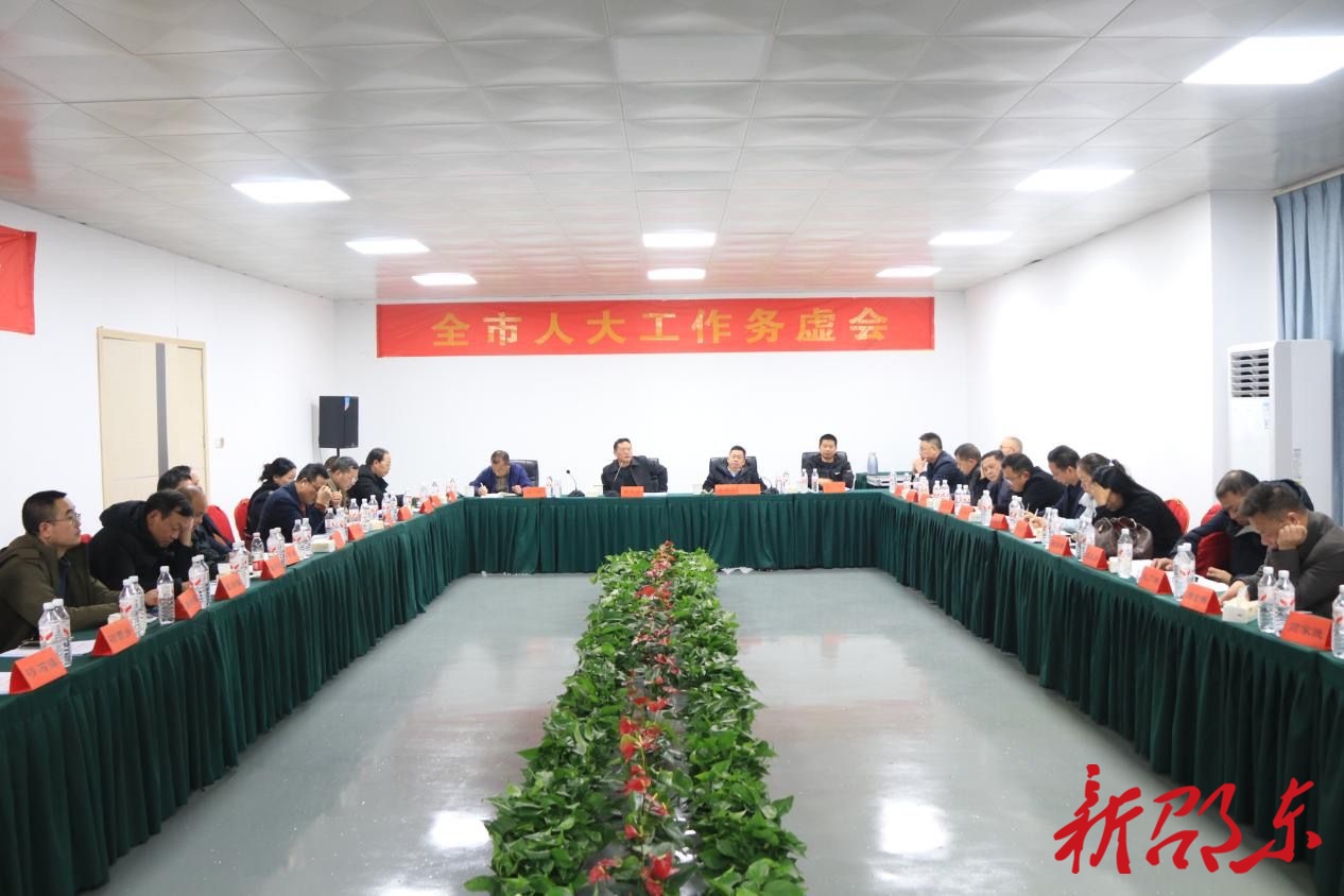 邵东市召开人大工作务虚会