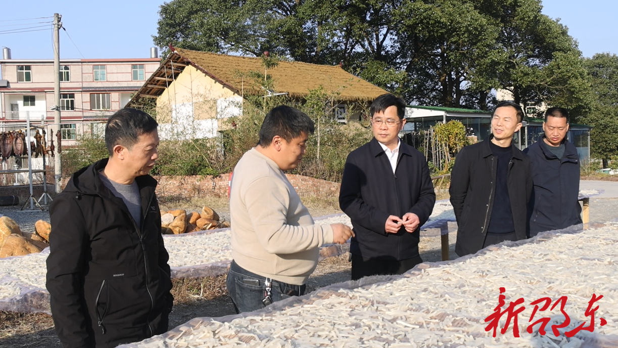 代表风采 | 李周全：“五彩中乡”绘蓝图 “诗画田园”践初心