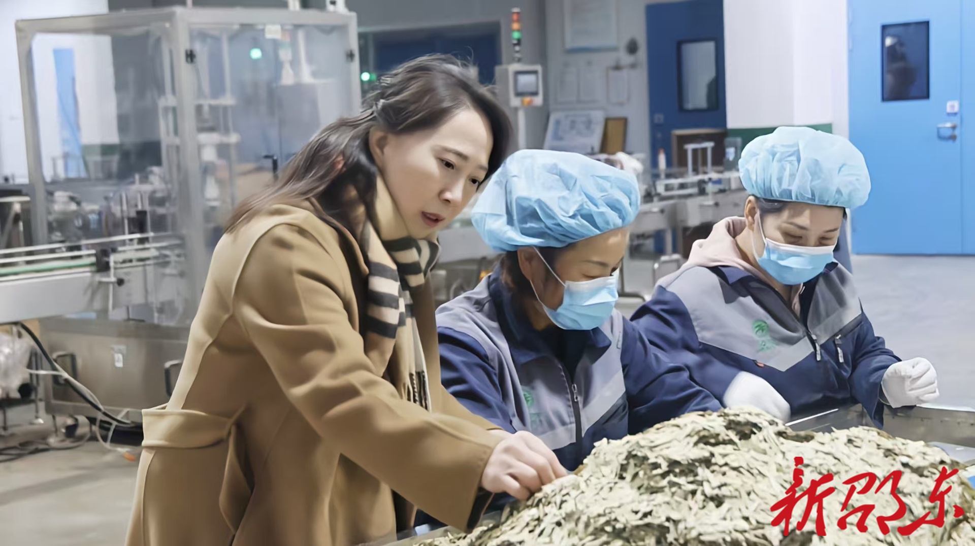 代表风采｜周桂花：药香漫乡梓 履职暖民心