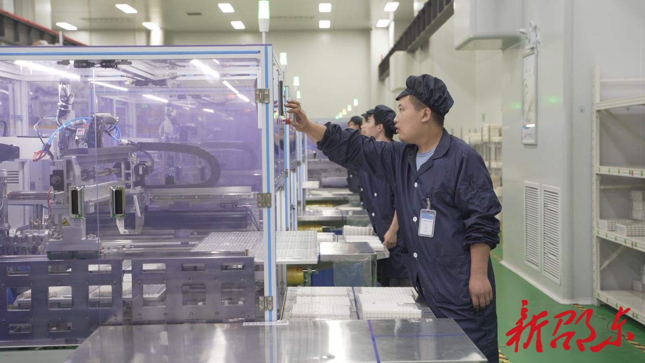 骏马踏春归 产业报乡梓——邵商唐顺初返乡创业筑梦故土