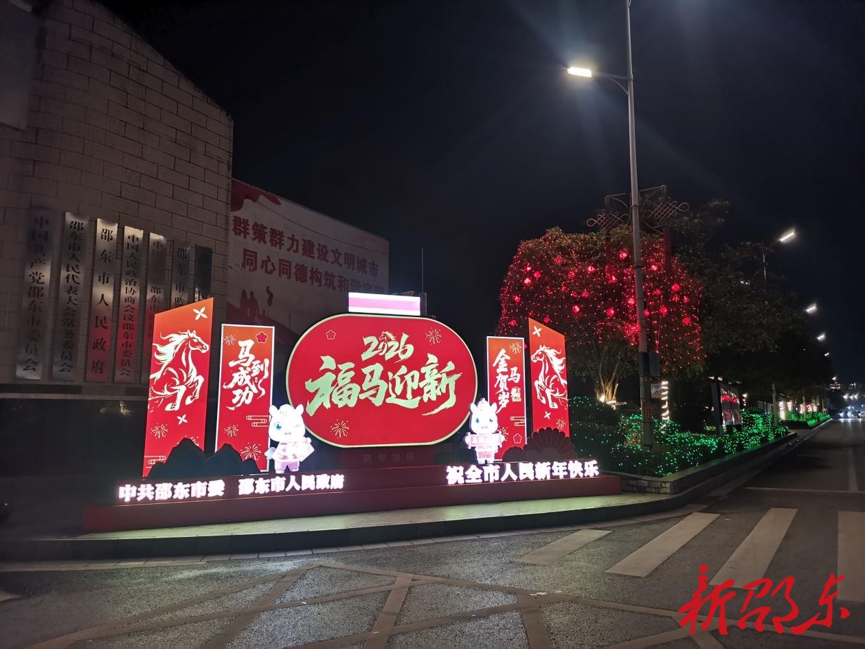 张灯结彩迎新春！市民心声：平安顺遂，马到成功