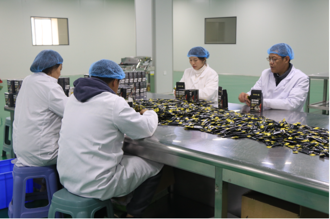 邵东廉桥医药工业科技园：全速复工复产 以实干实绩奋力冲刺首季开门红