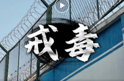 第一口是好奇，更是深渊！来自高墙内的血泪忠告···