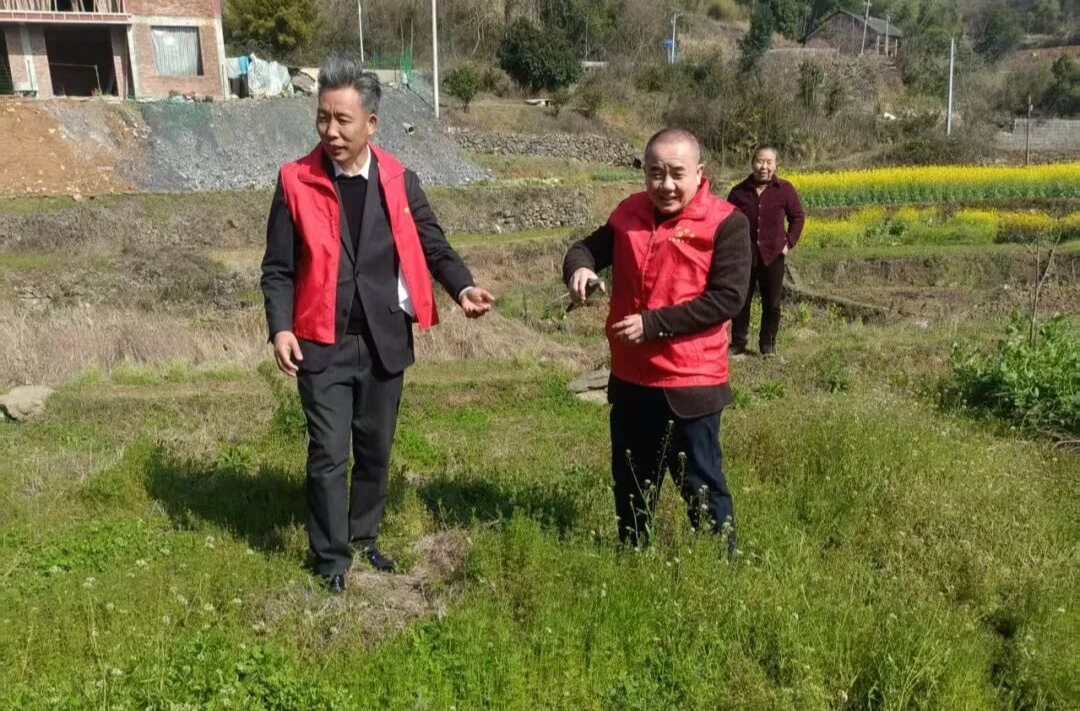 全域踏查＋院落宣讲，邵东界岭镇筑牢禁种铲毒坚固防线