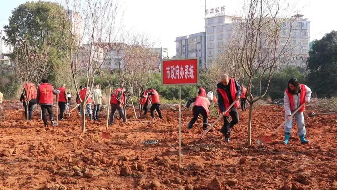 邵东市干部群众开展义务植树活动