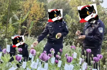 花开虽美，违法必铲！