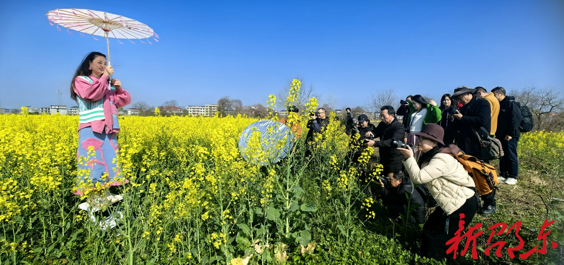 邵东市摄影家协会开展春日采风 用镜头践行“爱我邵东”情怀