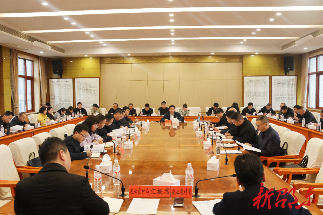 邵东市部署农村集体“三资”管理和高标准农田建设突出问题整治工作