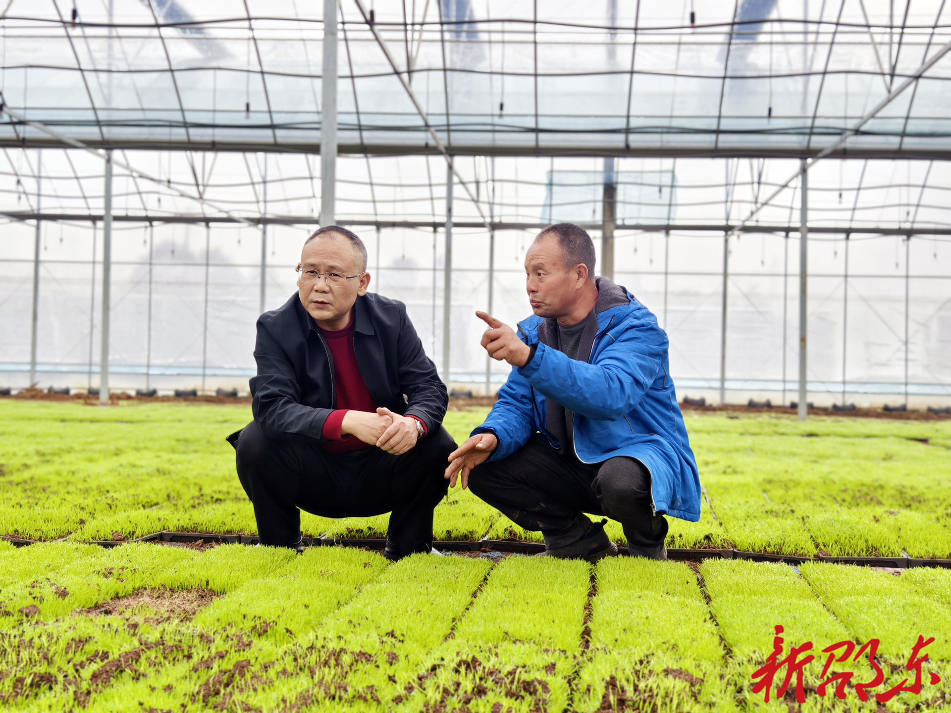 罗健康到火厂坪镇调研督导春耕备耕等当前重点工作