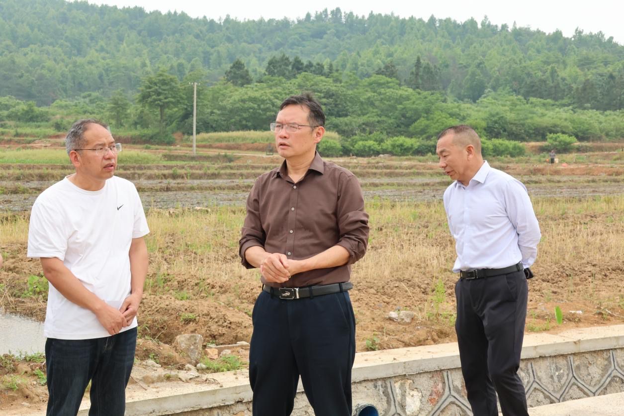 黄负平调研高标准农田建设工作
