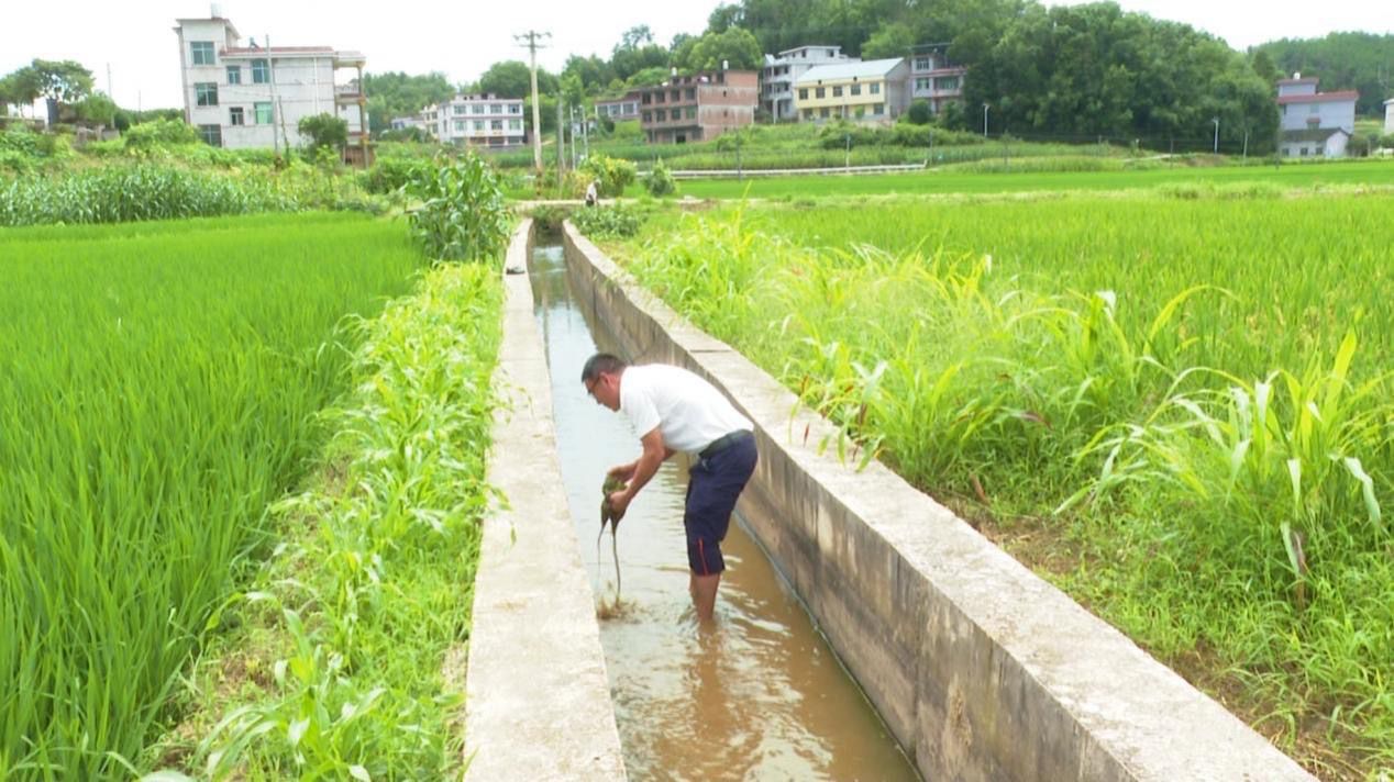 【“两优一先”】佘沛锡：一渠清水润民心 深耕基层践初心