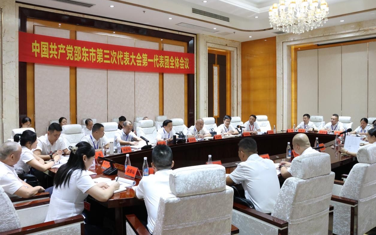 李国军参加中国共产党邵东市第三次代表大会第一代表团讨论
