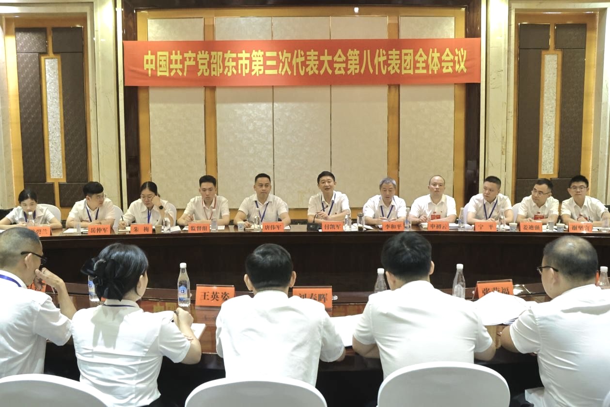 付凯军参加中国共产党邵东市第三次代表大会第八代表团讨论