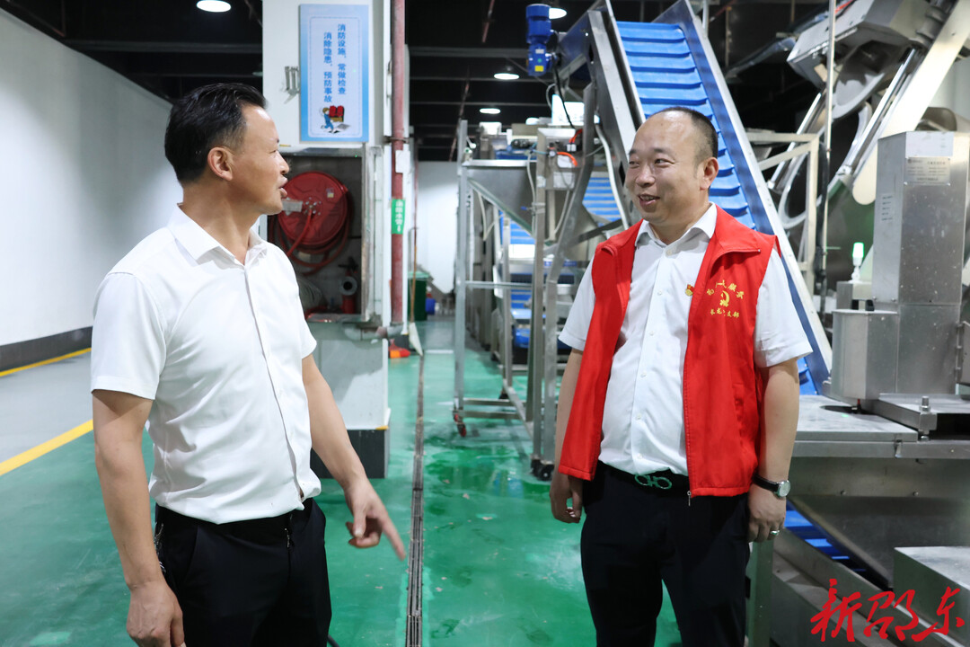 【“两优一先”】邵东廉桥镇长龙村党支部：党建领航聚合力 深耕药乡促振兴